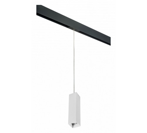 Трековый светильник Lightstar Rullo PRORP6396 (216396+595957)