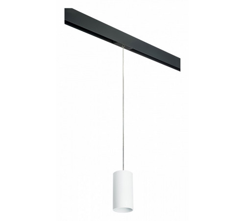 Трековый светильник Lightstar Rullo PRORP6486 (216486+595887)