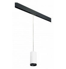 Трековый светильник Lightstar Rullo PRORP64863487 (216486+595887+203487)