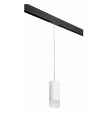 Трековый светильник Lightstar Rullo PRORP648681 (216486+595887+202481)