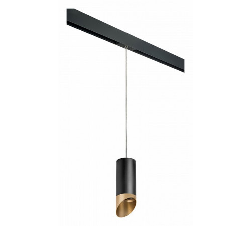 Трековый светильник Lightstar Rullo PRORP6487190 (216487+595887+201490)