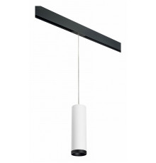 Трековый светильник Lightstar Rullo PRORP64963487 (216496+595887+203487)