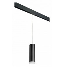 Трековый светильник Lightstar Rullo PRORP649780 (216497+595887+202480)