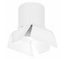 Накладной светильник Lightstar Rullo (213486+202486) R3486486