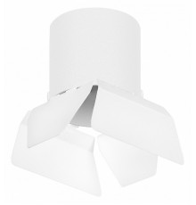 Накладной светильник Lightstar Rullo (213486+202486) R3486486