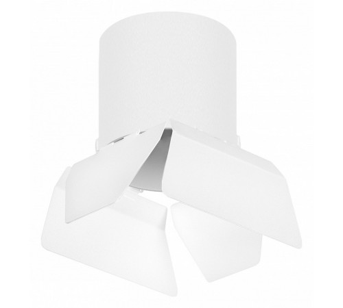 Накладной светильник Lightstar Rullo (213486+202486) R3486486