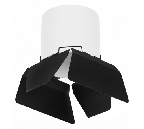 Накладной светильник Lightstar Rullo (213486+202487) R3486487