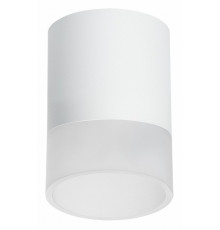 Накладной светильник Lightstar Rullo (213486+202481) R348681