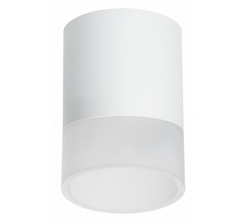 Накладной светильник Lightstar Rullo (213486+202481) R348681