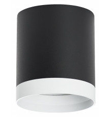 Накладной светильник Lightstar Rullo (213487+203486) R34873486