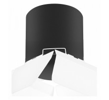 Накладной светильник Lightstar Rullo (213487+202486) R3487486