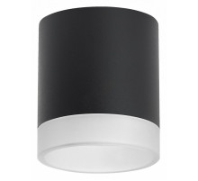 Накладной светильник Lightstar Rullo (213487+202480) R348780