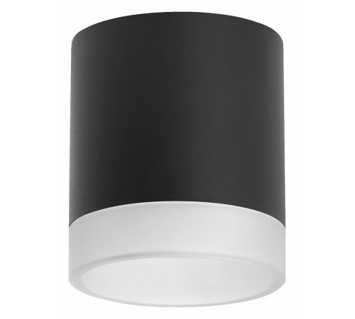 Накладной светильник Lightstar Rullo (213487+202480) R348780