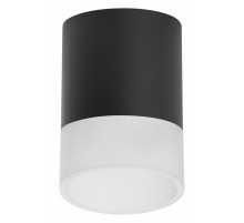 Накладной светильник Lightstar Rullo (213487+202481) R348781