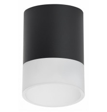 Накладной светильник Lightstar Rullo (213487+202481) R348781