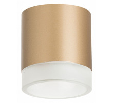 Накладной светильник Lightstar Rullo (213490+202480) R349080