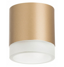 Накладной светильник Lightstar Rullo (213490+202480) R349080