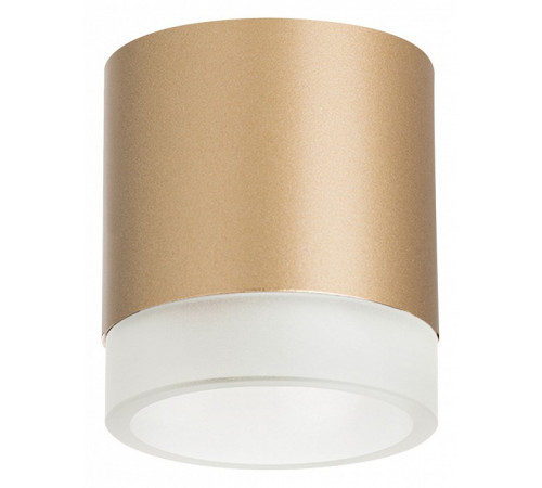 Накладной светильник Lightstar Rullo (213490+202480) R349080