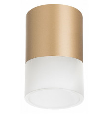 Накладной светильник Lightstar Rullo (213490+202481) R349081