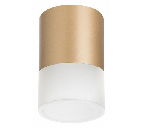 Накладной светильник Lightstar Rullo (213490+202481) R349081