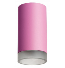 Накладной светильник Lightstar Rullo R43230 (214432+202430)