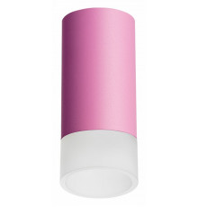 Накладной светильник Lightstar Rullo R43231 (214432+202431)