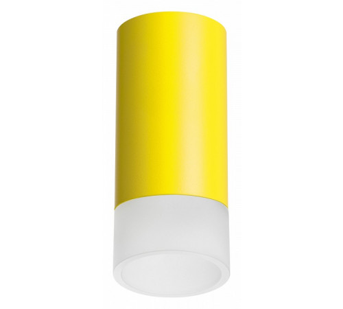 Накладной светильник Lightstar Rullo R43331 (214433+202431)