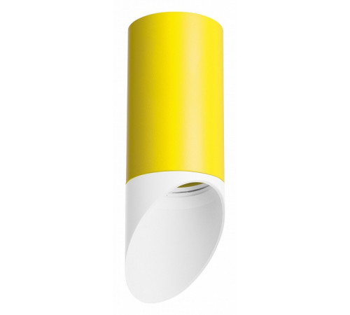 Накладной светильник Lightstar Rullo R43336 (214433+201436)