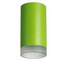 Накладной светильник Lightstar Rullo R43430 (214434+202430)
