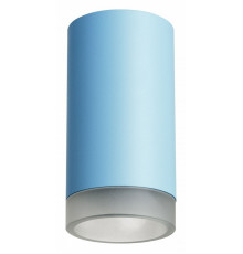 Накладной светильник Lightstar Rullo R43530 (214435+202430)