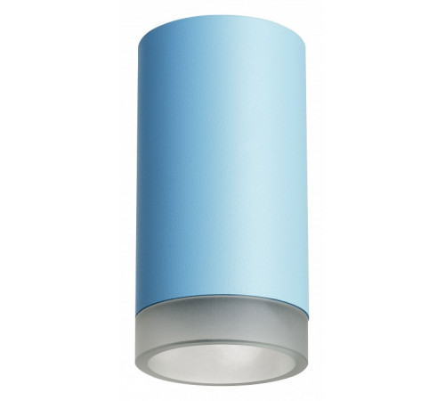 Накладной светильник Lightstar Rullo R43530 (214435+202430)