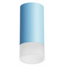 Накладной светильник Lightstar Rullo R43531 (214435+202431)