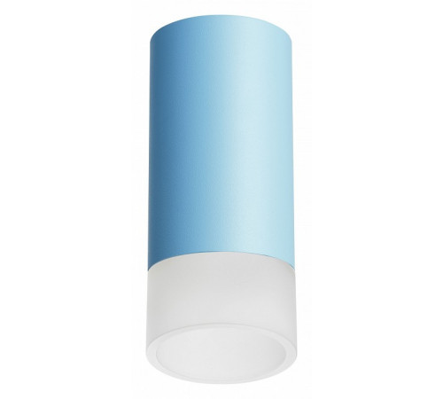 Накладной светильник Lightstar Rullo R43531 (214435+202431)