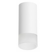 Накладной светильник Lightstar Rullo R43631 (214436+202431)