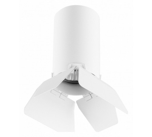 Потолочный светильник Lightstar RULLO R436436 (214436+202436) Потолочный светильник Lightstar RULLO R436436 (214436+202436)