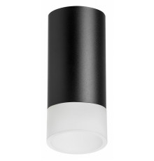 Накладной светильник Lightstar Rullo R43731 (214437+202431)