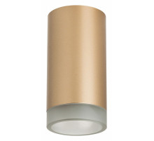 Накладной светильник Lightstar Rullo R44030 (214440+202430)