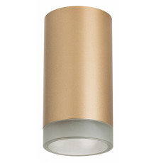 Накладной светильник Lightstar Rullo R44030 (214440+202430)