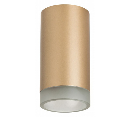 Накладной светильник Lightstar Rullo R44030 (214440+202430)