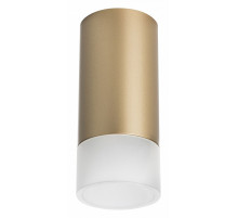 Накладной светильник Lightstar Rullo R44031 (214440+202431)