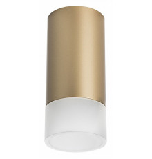 Накладной светильник Lightstar Rullo R44031 (214440+202431)
