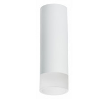 Накладной светильник Lightstar Rullo R48631 (214486+202431)