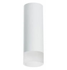 Накладной светильник Lightstar Rullo R48631 (214486+202431)