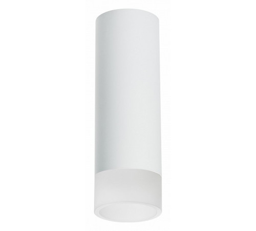 Накладной светильник Lightstar Rullo R48631 (214486+202431)