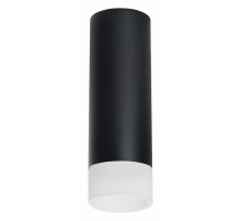 Накладной светильник Lightstar Rullo R48731 (214487+202431)