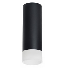 Накладной светильник Lightstar Rullo R48731 (214487+202431)