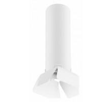 Потолочный светильник Lightstar RULLO R496436 (214496+202436)