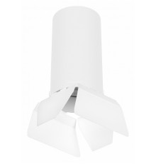 Потолочный светильник Lightstar RULLO R6486486 (216486+202486)