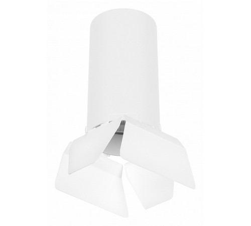 Потолочный светильник Lightstar RULLO R6486486 (216486+202486) Потолочный светильник Lightstar RULLO R6486486 (216486+202486)