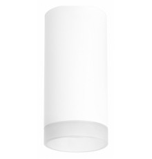 Потолочный светильник Lightstar RULLO R648680 (216486+202480)